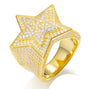 14k Gold Vermeil Star - Mars Jewelers